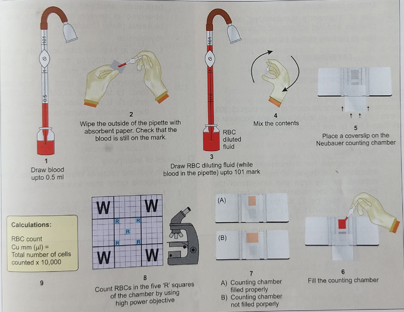 red blood cell count