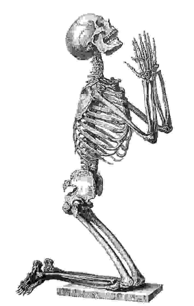 Introduction of bone