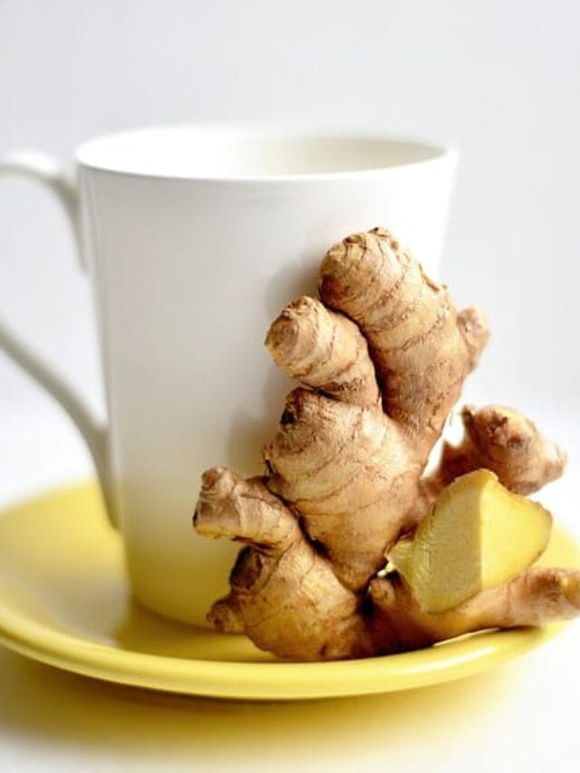 10 BEST FOODS TO HELP PREVENT CONSTIPATION