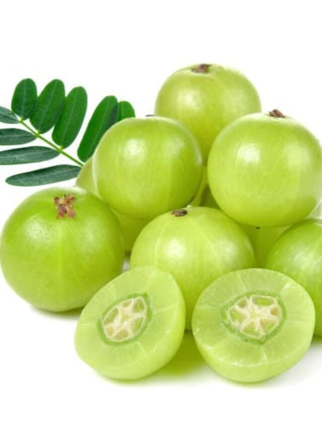 ten health facts of eating gooseberry daily.